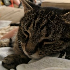 Meet your Posher, Christy